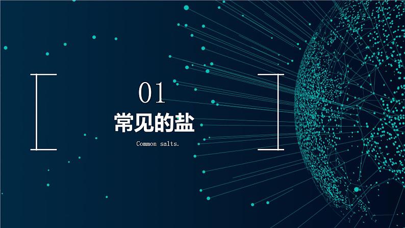 第十一单元 盐和化肥【考点串讲】-2024年中考化学一轮复习精品课件(人教版)第6页