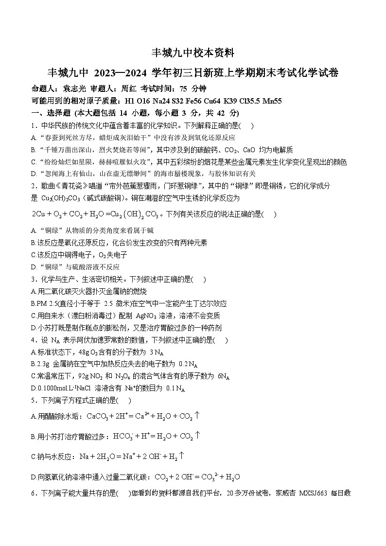 江西省宜春市丰城市第九中学日新班2023-2024学年九年级上学期期末考试化学试题()第1页
