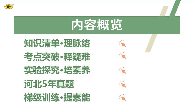 2024河北中考化学复习 板块一 主题4 常见的溶液(2~5.5分) 课件第2页