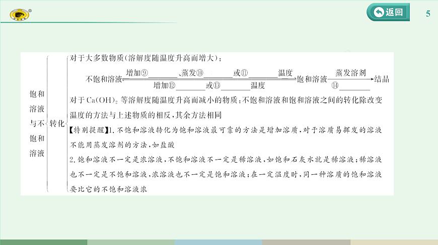 2024河北中考化學(xué)復(fù)習(xí) 板塊一 主題4　常見的溶液(2~5.5分) 課件第5頁