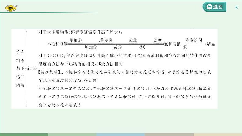 2024河北中考化学复习 板块一 主题4 常见的溶液(2~5.5分) 课件第5页