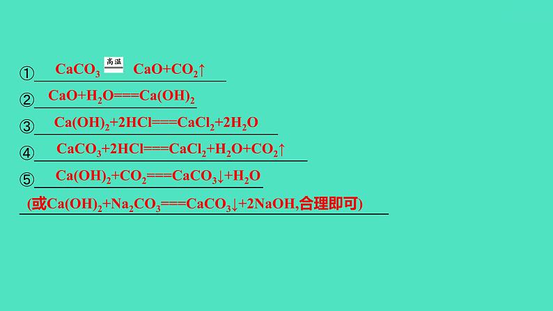 2024河北中考化学复习 板块一 主题7 盐和化肥(1.5~10分) 课件03