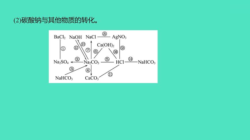 2024河北中考化學(xué)復(fù)習(xí) 板塊一 主題7　鹽和化肥(1.5~10分) 課件第4頁