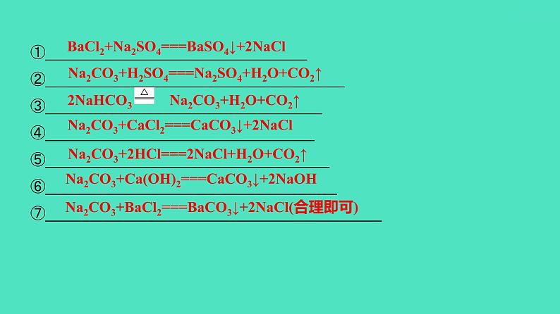 2024河北中考化学复习 板块一 主题7 盐和化肥(1.5~10分) 课件05