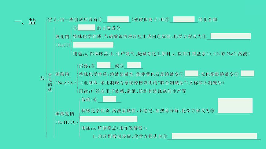 2024河北中考化學(xué)復(fù)習(xí) 板塊一 主題7　鹽和化肥(1.5~10分) 課件第7頁