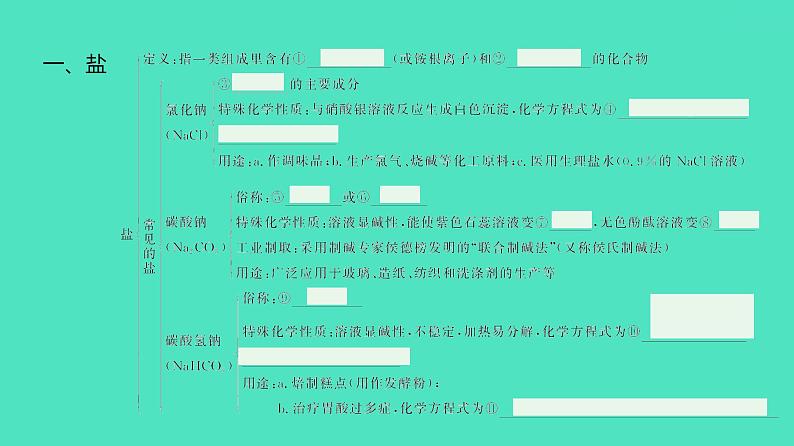 2024河北中考化学复习 板块一 主题7 盐和化肥(1.5~10分) 课件07