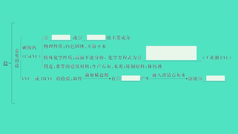 2024河北中考化学复习 板块一 主题7 盐和化肥(1.5~10分) 课件08
