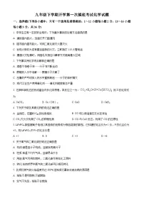 山东省德州市宁津县苗场中学2023-2024学年九年级下学期开学第一次摸底考试化学试题（原卷版+解析版）
