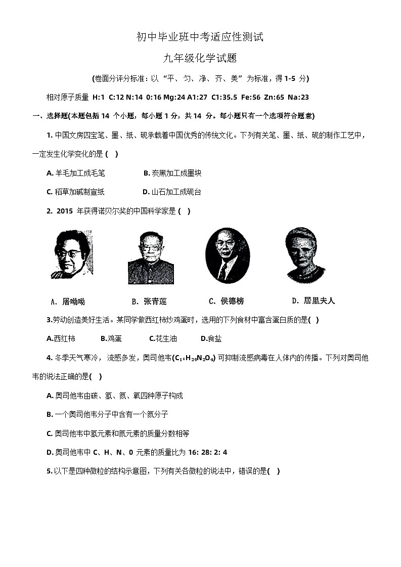 2024年河南省安阳市林州市中考一模适应性测试化学试卷第1页