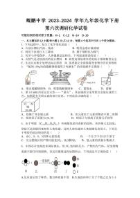 安徽省蒙城鲲鹏中学2023-2024学年九年级下学期调研考试化学试卷