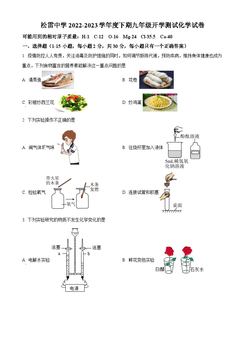 黑龙江省哈尔滨市南岗区松雷中学2022-2023学年九年级上学期开学测试化学试卷（原卷版+解析版）