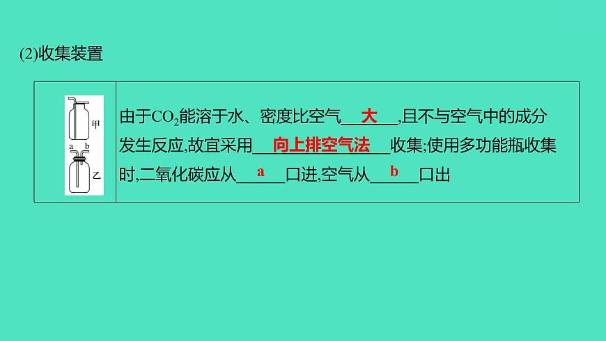 2024山東中考復(fù)習(xí) 人教版化學(xué) 基礎(chǔ)知識(shí)復(fù)習(xí) 實(shí)驗(yàn)2　二氧化碳的實(shí)驗(yàn)室制取與性質(zhì) 課件第3頁(yè)