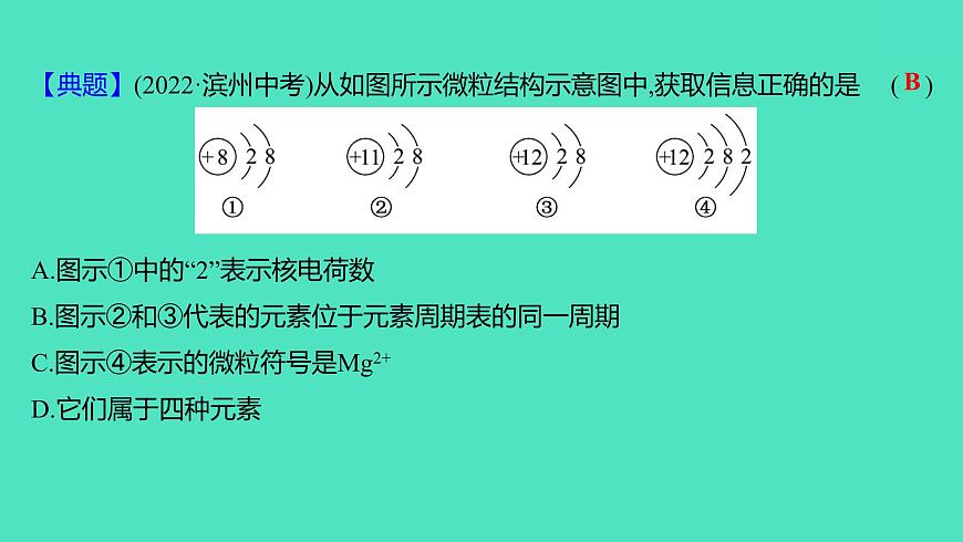2024山東中考復(fù)習(xí) 人教版化學(xué) 考點(diǎn)研究 第二部分　第1講　分子、原子、元素與物質(zhì) 課件第8頁