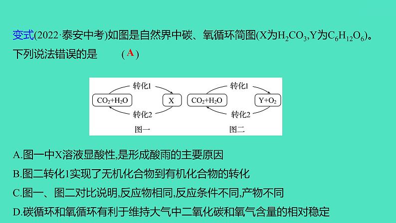 2024山东中考复习 人教版化学 考点研究 第三部分 第2讲 碳和碳的氧化物 课件06
