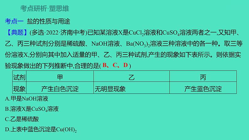 2024山东中考复习 人教版化学 考点研究 第三部分 第9讲 盐 化肥 课件05