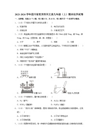 2023-2024学年四川省宜宾市兴文县九年级(上)期末化学试卷