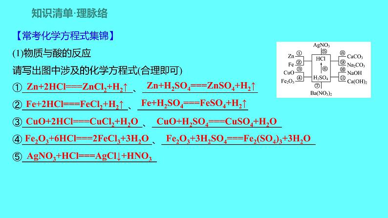 2024湖南中考复习 人教版化学 第十单元 第1课时 常见的酸和碱 课件02
