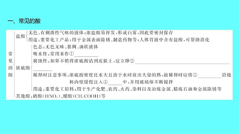 2024湖南中考复习 人教版化学 第十单元 第1课时 常见的酸和碱 课件05