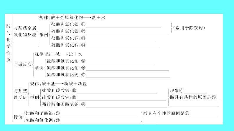 2024湖南中考复习 人教版化学 第十单元 第1课时 常见的酸和碱 课件07