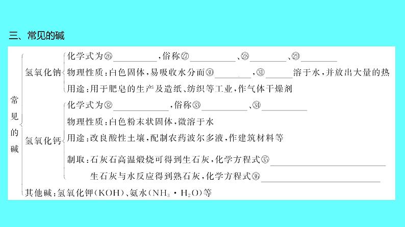 2024湖南中考复习 人教版化学 第十单元 第1课时 常见的酸和碱 课件08
