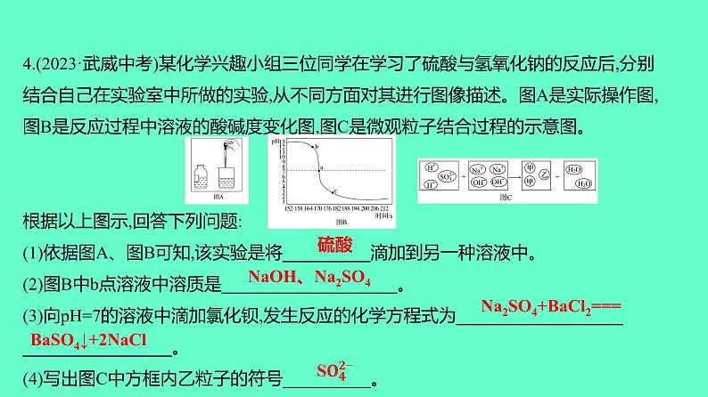 2024贵州中考一轮复习 人教版化学 技能提升专项训练三 酸碱盐之间的转化与探究 课件05