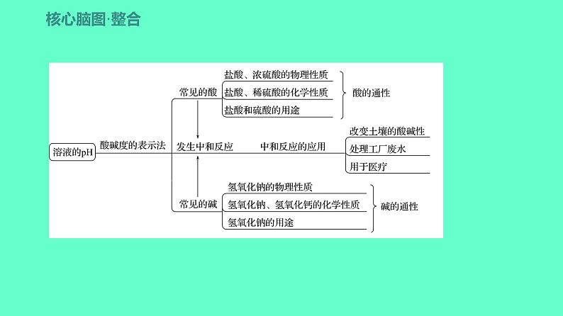 2024贵州中考一轮复习 人教版化学 教材基础复习 主题二 第五讲 课时5 常见的酸和碱 课件03