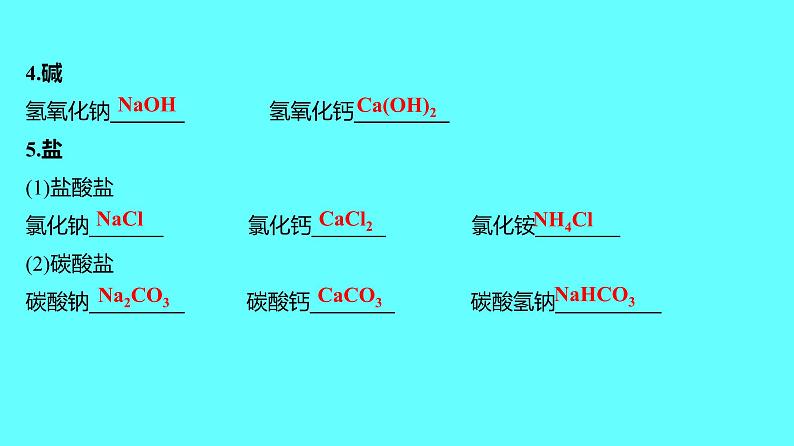 2024湖南中考复习 人教版化学 微专题一 化学用语 课件第8页