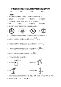 广西河池市环江县2024届九年级上学期期末测试化学试卷(含答案)