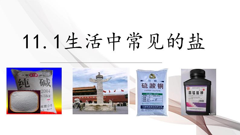 11.1生活中常见的盐课件-2023-2024学年九年级化学人教版下册 (1)01