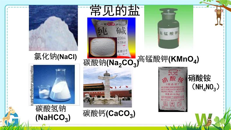11.1生活中常见的盐课件-2023-2024学年九年级化学人教版下册 (1)03