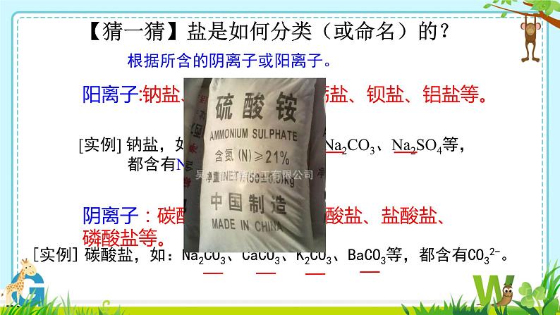 11.1生活中常见的盐课件-2023-2024学年九年级化学人教版下册 (1)04