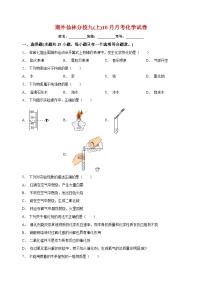南京市外国语学校2022-2023学年九年级上学期月考化学试题（含答案和解析）