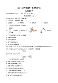 南通市海安市2022-2023学年九年级上学期期中化学试题(含答案解析)