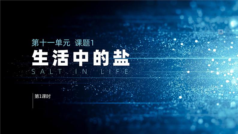 人教版九年级化学下册公开课精品课件 11.1. 生活中常见的盐(第1课时)(精品同步教学课件)01