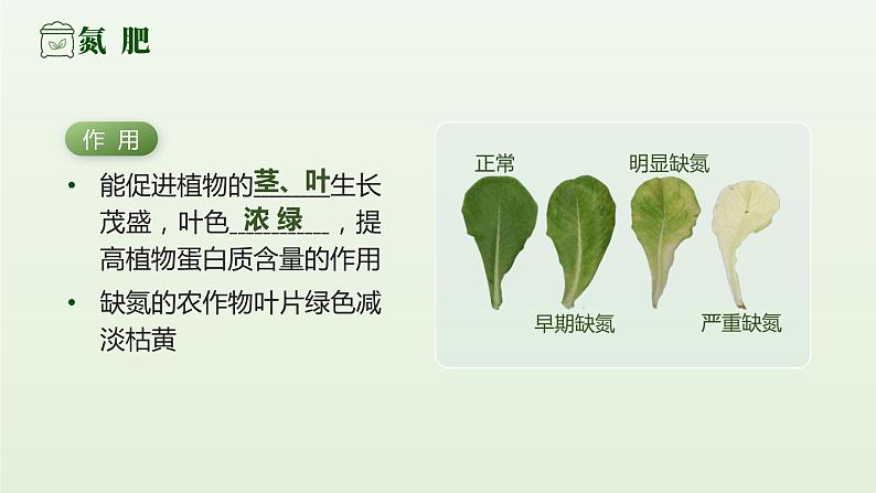 人教版九年级化学下册公开课精品课件 11.2.1 化学肥料(第1课时)(精品同步教学课件)第5页