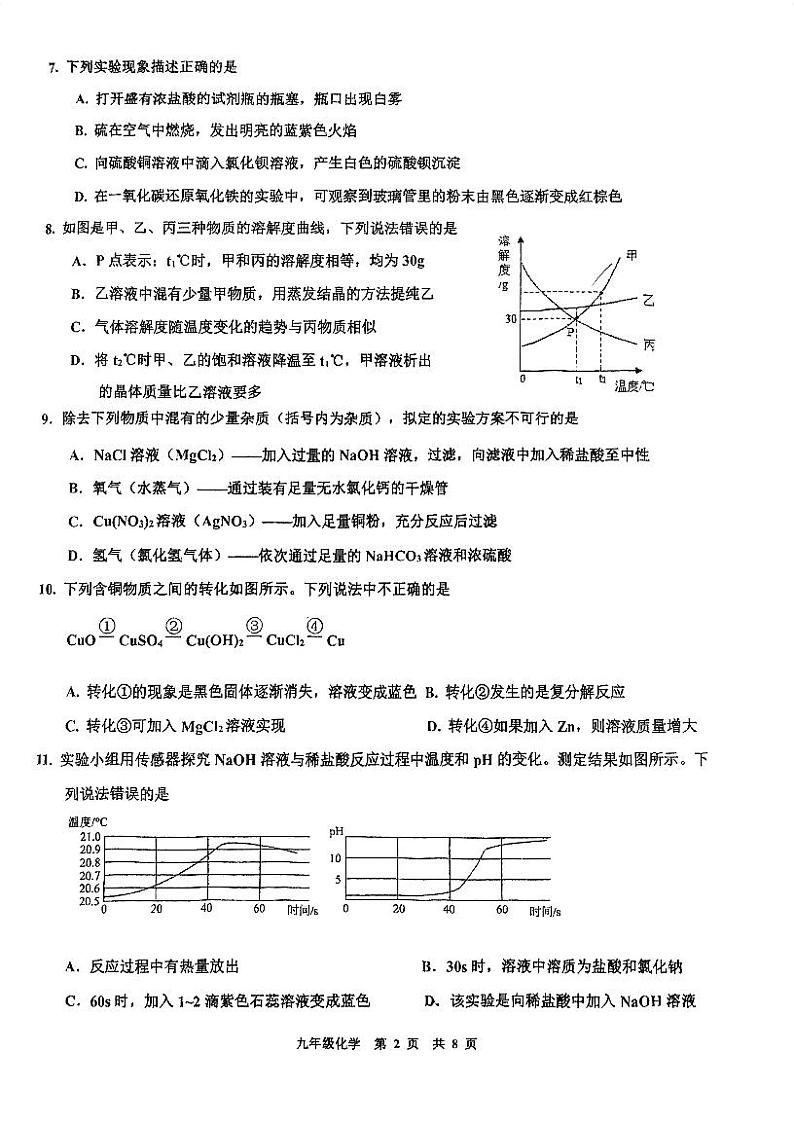 江苏省南京师范大学附属中学树人学校2023-2024学年九年级下学期3月月考化学试卷第2页