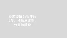 2024廣西中考復(fù)習(xí) 通用版化學(xué) 教材基礎(chǔ)復(fù)習(xí) 專項(xiàng)突破7：物質(zhì)的共存、檢驗(yàn)與鑒別、分離與除雜 課件