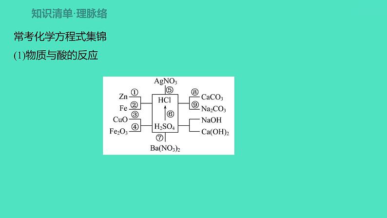 2024中考一轮复习 鲁教版化学 教材基础复习 第七单元 第一节、第二节 酸及其性质、碱及其性质 课件02