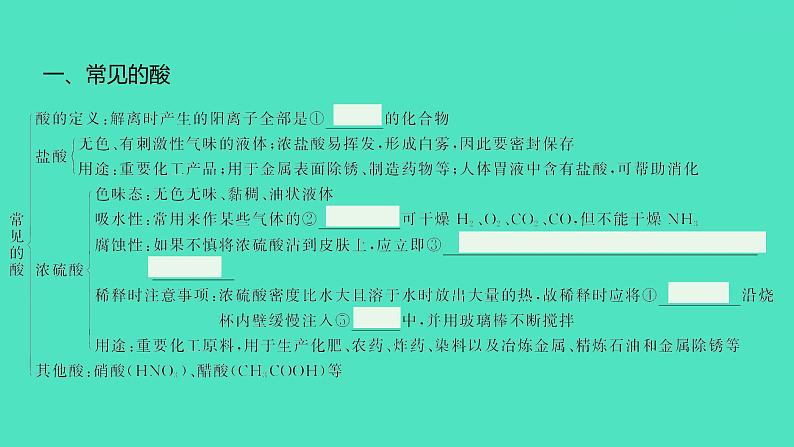 2024中考一轮复习 鲁教版化学 教材基础复习 第七单元 第一节、第二节 酸及其性质、碱及其性质 课件08