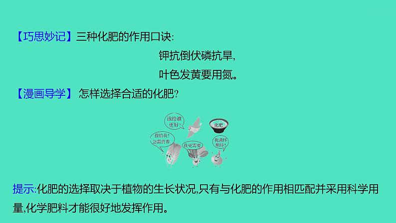2023-2024 人教版化学 九年级下册 第十一单元 课题2 化学肥料 课件第6页
