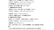 第十一单元 盐化肥知识点复习讲义  九年级化学人教版下册
