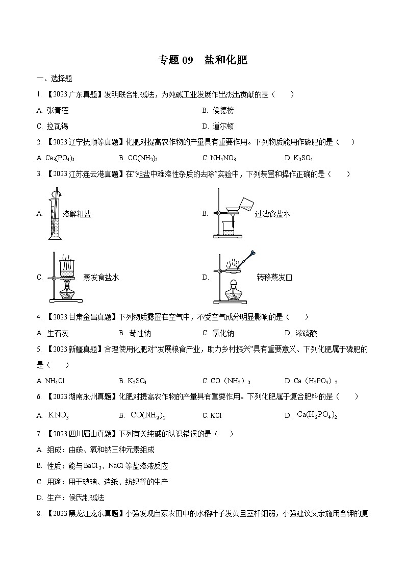 专题09 盐和化肥:三年(2021-2023)中考化学真题分项汇编(全国通用)01