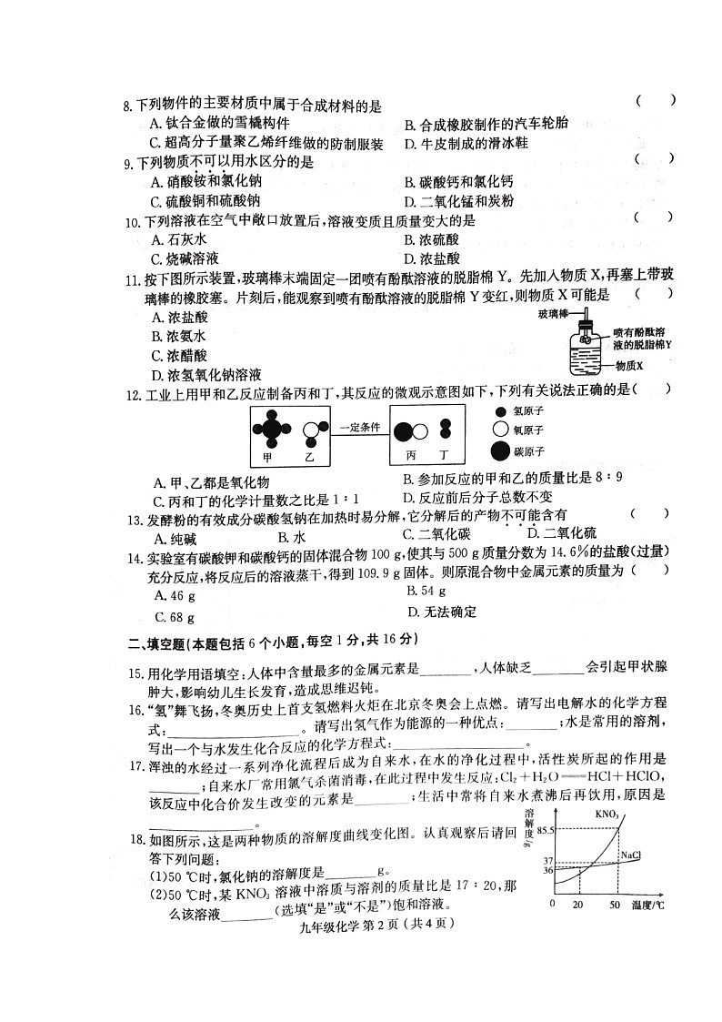 2024年河南省周口市郸城县中考一模化学试题第2页
