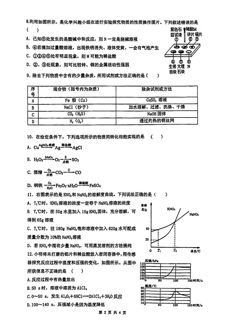 江苏省连云港市海宁中学2023-2024学年九年级下学期第一次月考化学试题第2页