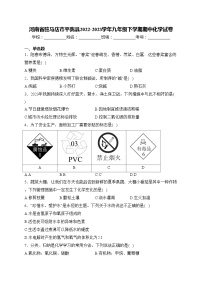 河南省驻马店市平舆县2022-2023学年九年级下学期期中化学试卷(含答案)
