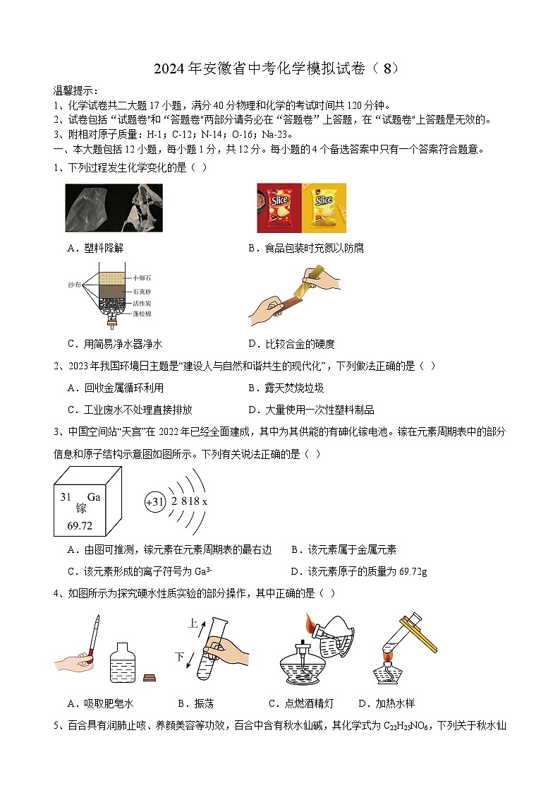 2024年安徽省中考化学模拟试卷(8)01