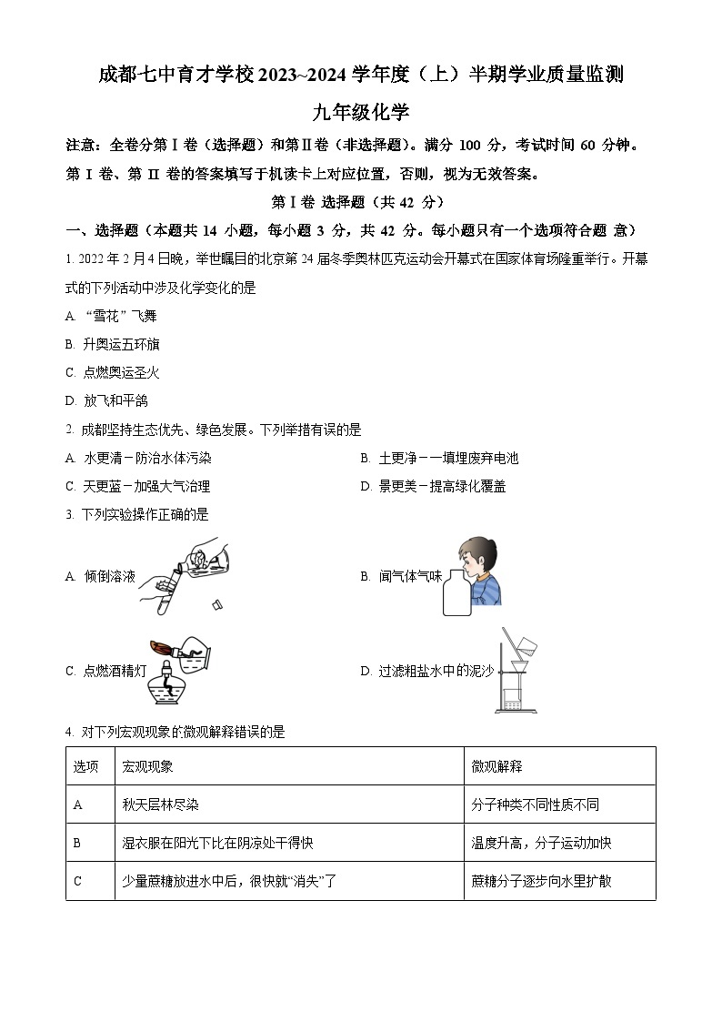 四川省成都市锦江区成都市第七中学育才学校九年级2023-2024学年上学期期中化学试题01