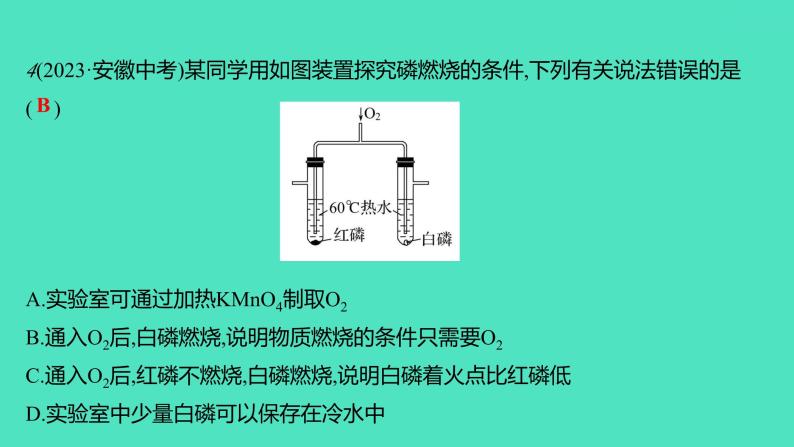 2023-2024学年九年级全一册化学人教版 实验活动3　燃烧的条件 课件07