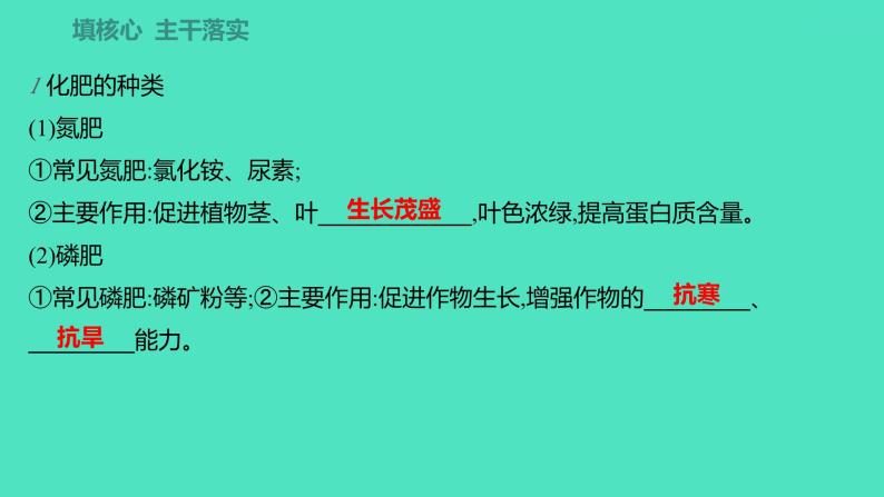 2023-2024学年九年级全一册化学人教版 第十一单元　课题2　化学肥料 课件02