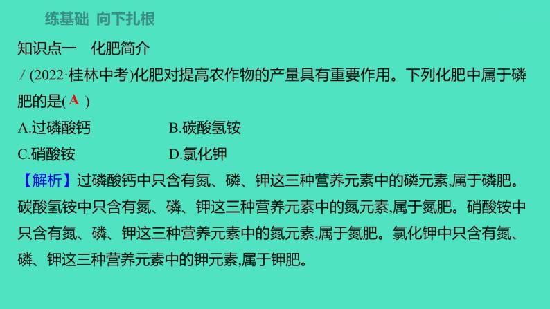 2023-2024学年九年级全一册化学人教版 第十一单元　课题2　化学肥料 课件04